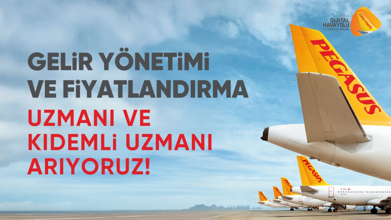 Pegasus Gelir Yönetimi ve Fiyatlandırma ekibine katılmak ister misiniz? 10 Mart 2025